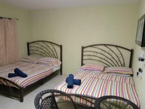two beds with blue bows on them in a bedroom at Ali's Guest House in Batu Ferringhi