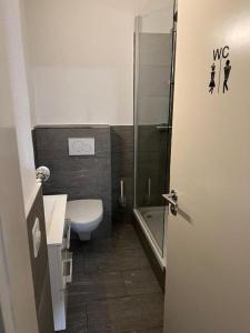 Fotografie z fotogalerie ubytování Freihof Apartments v destinaci Brugg