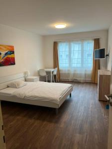 Fotografie z fotogalerie ubytování Freihof Apartments v destinaci Brugg