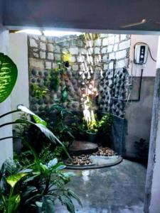 un jardín con plantas y una pared de piedra en Ancient Grand Villa, en Pinnawala