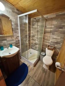 a bathroom with a shower and a toilet and a sink at hospedaje mi casa in La Unión +11 photos