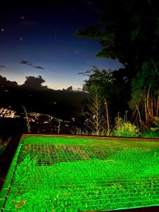 a green garden at night with a view at Palmar San Gil in San Gil