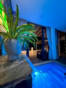 a plant in a pot next to a swimming pool at Palmar San Gil in San Gil