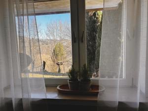Fotografie z fotogalerie ubytování Ferienwohnung Daun v destinaci Daun