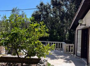 Vonkajšia záhrada v ubytovaní Holiday Home Božo