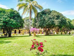 Zahrada ubytování Fatima Farm Resort + 11 fotografií