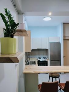 Η κουζίνα ή μικρή κουζίνα στο MYKALI's COZY APARTMENT