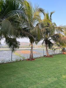 two palm trees in a field next to a body of water at Peaceful studio home in South Goa in Salcete