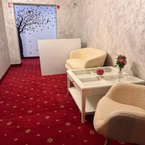 Fotografie z fotogalerie ubytování Vila Maria - Gara de Nord v Bukurešti