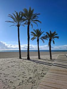 three palm trees on a beach with a boardwalk at Ático Pola in Santa Pola