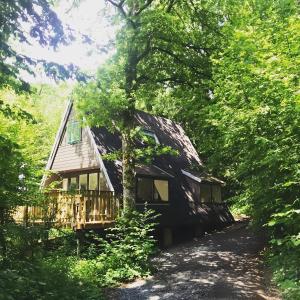 a house in the middle of a forest at Chalets Het Hulstje 1 & 2 - Durbuy in Durbuy