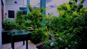 Taman di luar Hotel Planet Residency