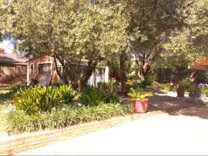 a yard with a house and some plants and trees at Anri Guesthouse in Bloemfontein
