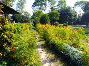 Vrt ispred objekta Bardia Riverside View Park Resort - FR and EN speaking