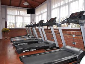 Fitness centrum a/nebo fitness zařízení v ubytování Hotel Willa Park