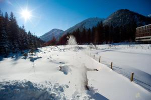 Alpenhotel Ammerwald v zimě