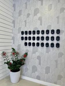 a plant in a white pot next to a wall at ATAP Hotel in Kota Kinabalu