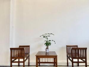 two chairs and a table with a potted plant on it at ATAP Hotel in Kota Kinabalu