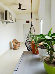 a room with potted plants on a table at Kanchan Homestay in Nowgong