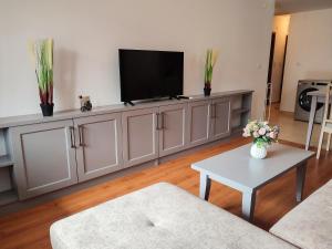 ein Wohnzimmer mit einem TV auf einem Schrank in der Unterkunft Deluxe Apartment In Belvedere With Terrace in Bansko