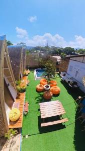 Κήπος έξω από το Happy Monkey Hostel