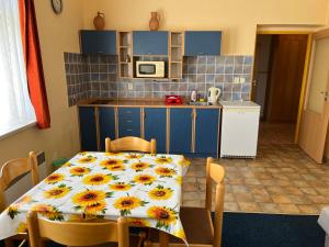 Kuchyň nebo kuchyňský kout v ubytování Apartmánový dům Obecná škola