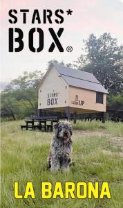 Certifikát, hodnocení, plakát nebo jiný dokument vystavený v ubytování Stars box La Barona