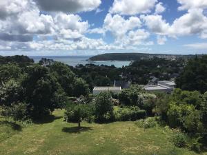 a view of the water from a hill with trees at La Vigie in Crozon