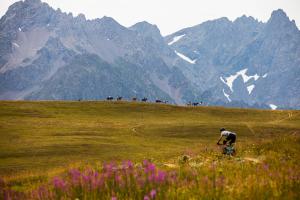 a man riding a bike in a field with mountains at Camping RCN Belledonne in Le Bourg-dʼOisans
