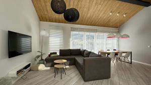 Televízia a/alebo spoločenská miestnosť v ubytovaní Apartament Sun House SAUNA KOMINEK SKRZYCZNE