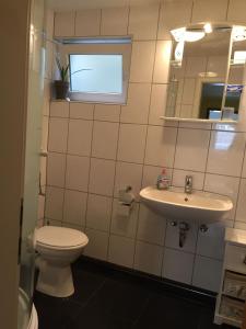 WassenachにあるGemüliche Ferienwohnung Schmandinのトイレと洗面台付きのバスルーム