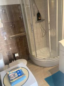 a bathroom with a shower and a toilet at Bandol Studio à deux pas du port in Bandol