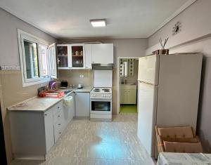 a kitchen with white appliances and a white refrigerator at VILLA NEFELI in Piqeras