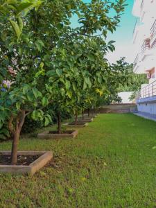 Zahrada ubytování Himara Royal Hotel