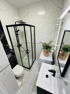 a bathroom with a shower and a toilet and a sink at Biały Żagiel in Władysławowo