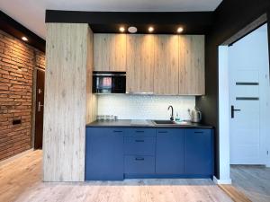 a kitchen with a blue sink and wooden cabinets at Copernicus Street Apartment - Broken Flowers and Twin Peaks in Toruń