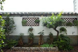 Zahrada ubytování 建水县井宿客栈