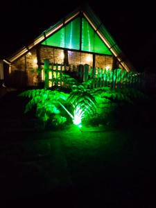 Zahrada ubytování Blossomwell Bungalow