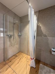 a bathroom with a shower with a glass door at Dussnang, am Entenbach in Dussnang
