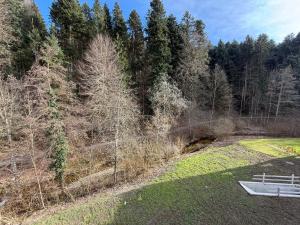 una vista aerea di un campo alberato di Dussnang, am Entenbach a Dussnang Altre 11 foto