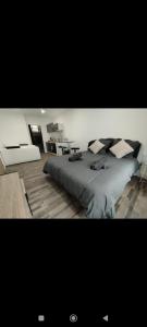 a bedroom with a large bed with pillows on it at Élégant studio avec jacuzzi in Saint-Paul-de-Fenouillet