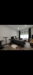 a bedroom with a bed and a desk in it at Élégant studio avec jacuzzi in Saint-Paul-de-Fenouillet