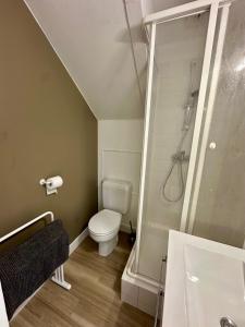 a bathroom with a toilet and a shower at Résidence du Parad'Ice in Dinard +128 photos
