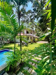 Gartenblick in der Unterkunft Hikka Villa in Hikkaduwa