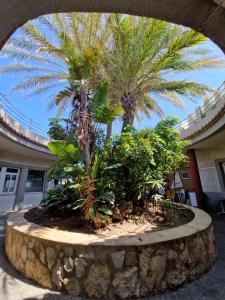 Ogród w obiekcie Apartamento Barbacoa, Piscina y playa