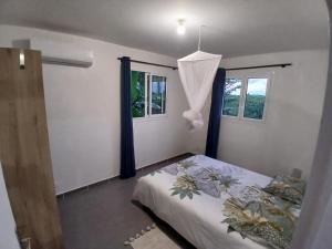 a bedroom with a bed and two windows at colibris Location SAINTE-ANNE in Sainte-Anne