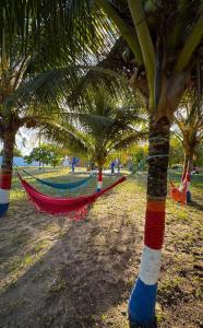 a hammock on a palm tree in a park at Chácara Amsterdam in Aracaju