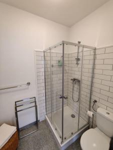 a glass shower in a bathroom with a toilet at Amstetten Apartment in Amstetten +5 photos