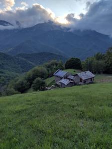 Φυσικό τοπίο κοντά σε αυτό το bed & breakfast +53 φωτογραφίες