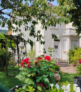 a white house with red flowers in the yard at Villa Le Marronnier, clim, Terrasse, Parking & Spa privé, calme, entre Colmar-Riquewihr et Obernai, Route des vins d'Alsace in Châtenois